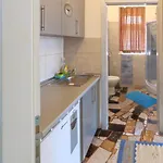 Kobilj Banja Luka